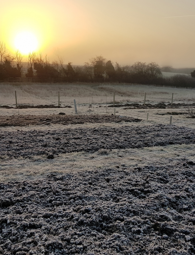 Mid Feb 2019 007