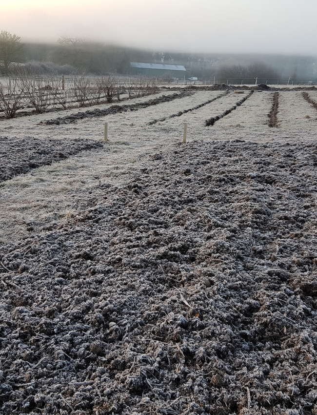 Mid Feb 2019 010