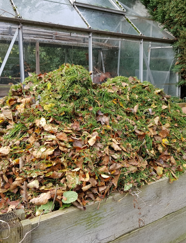 Late October 2019 113