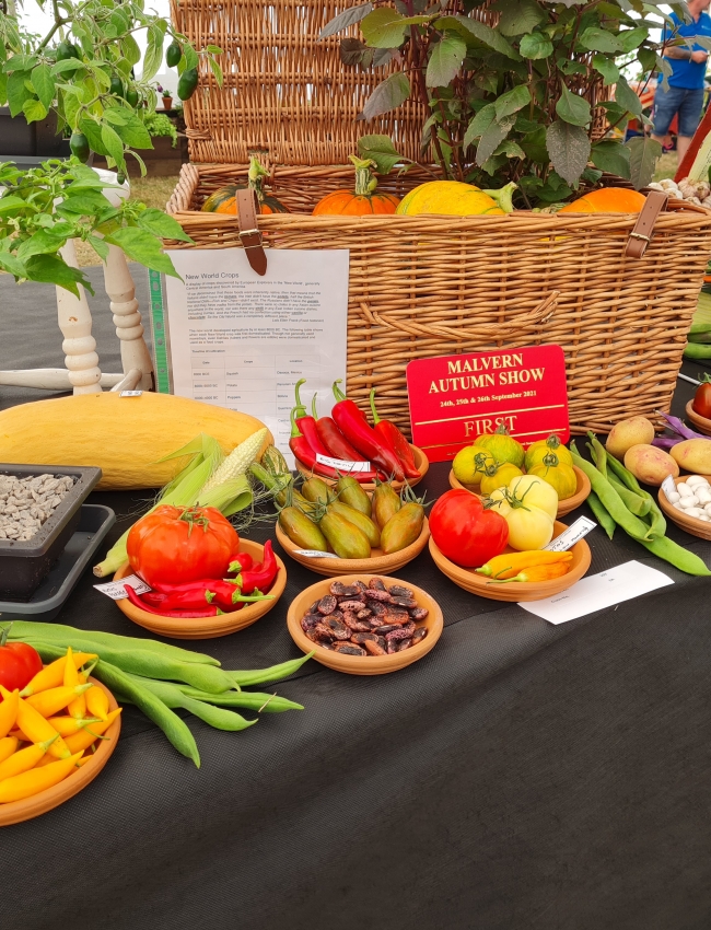 Malvern Show 2021 017