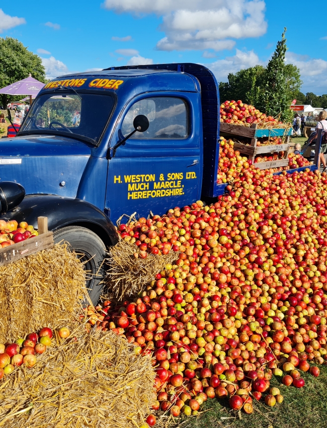 Malvern Show 2021 052