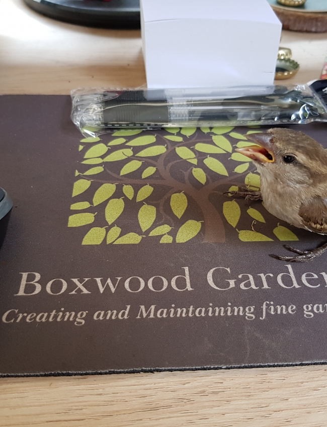 24th July 2019 011
