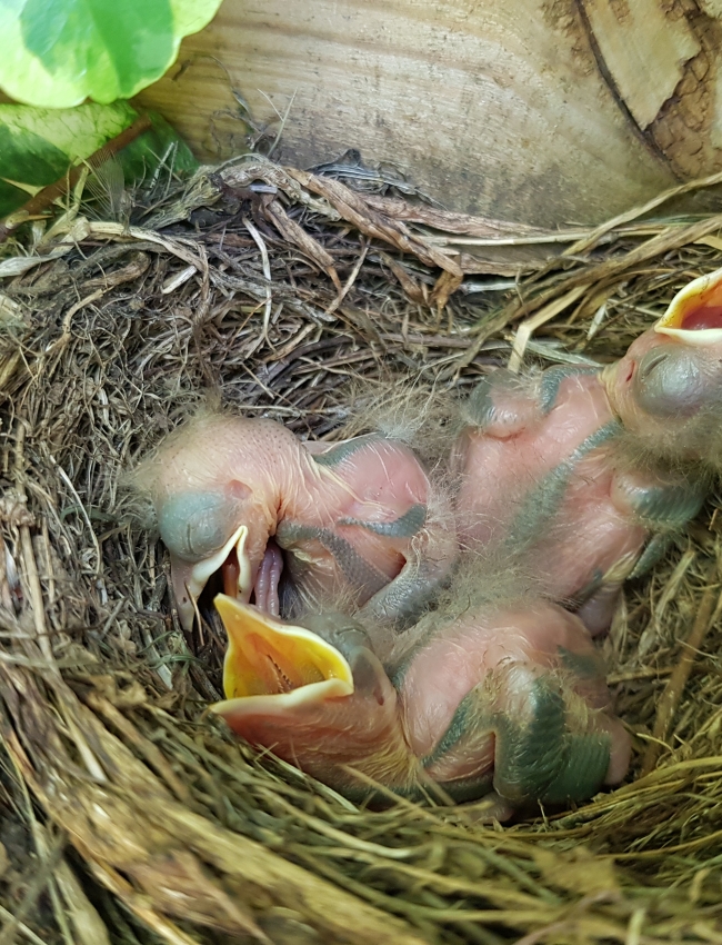 31st July 2019 002