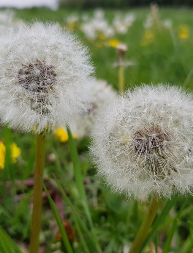 E.May 2019 001