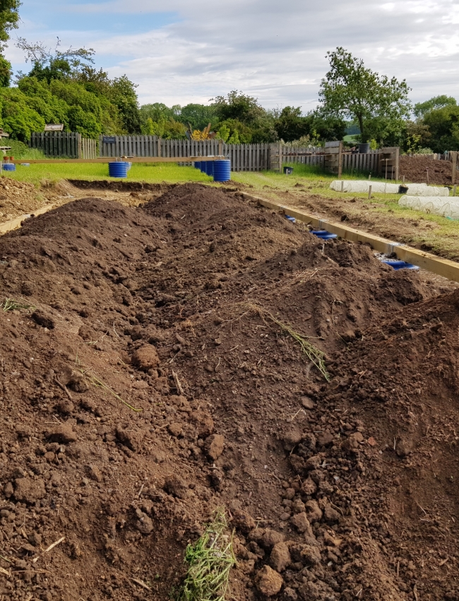 23rd May 2020 008