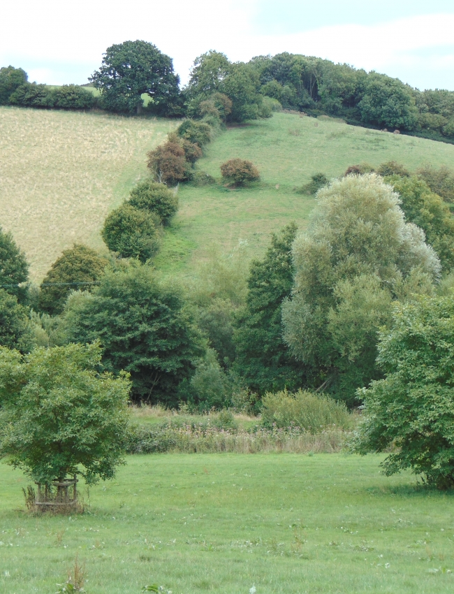 DSC00009