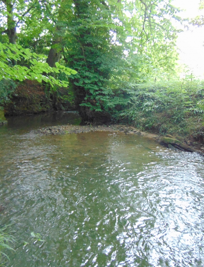 DSC00037