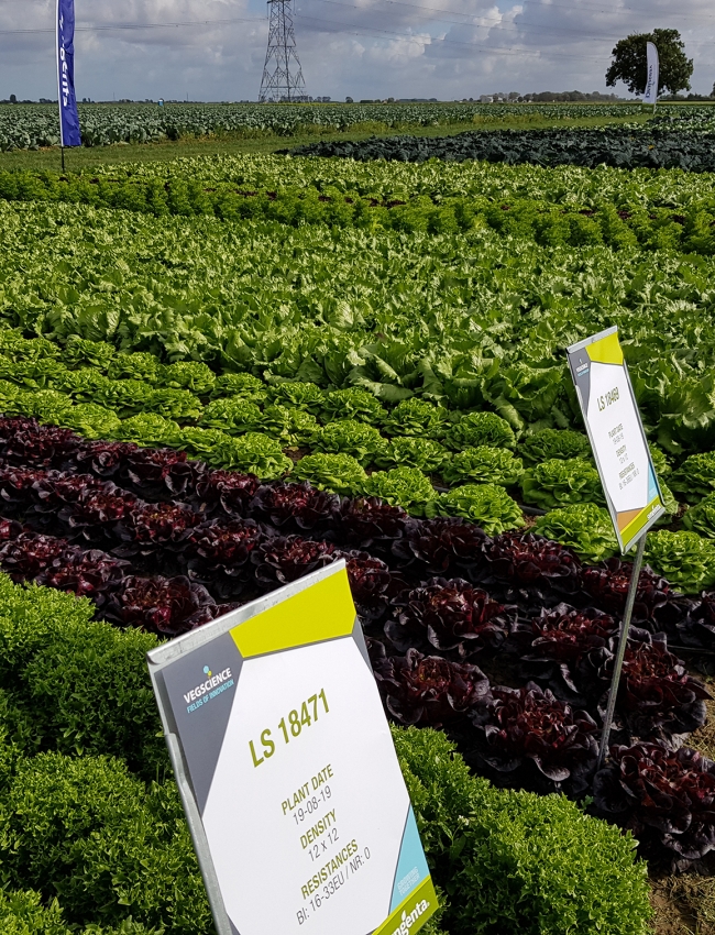 Brassica Open Days 2019 080