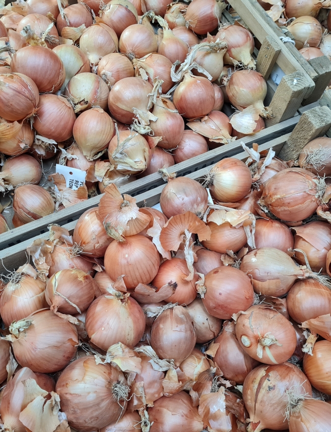 Onion Trials 2021 009