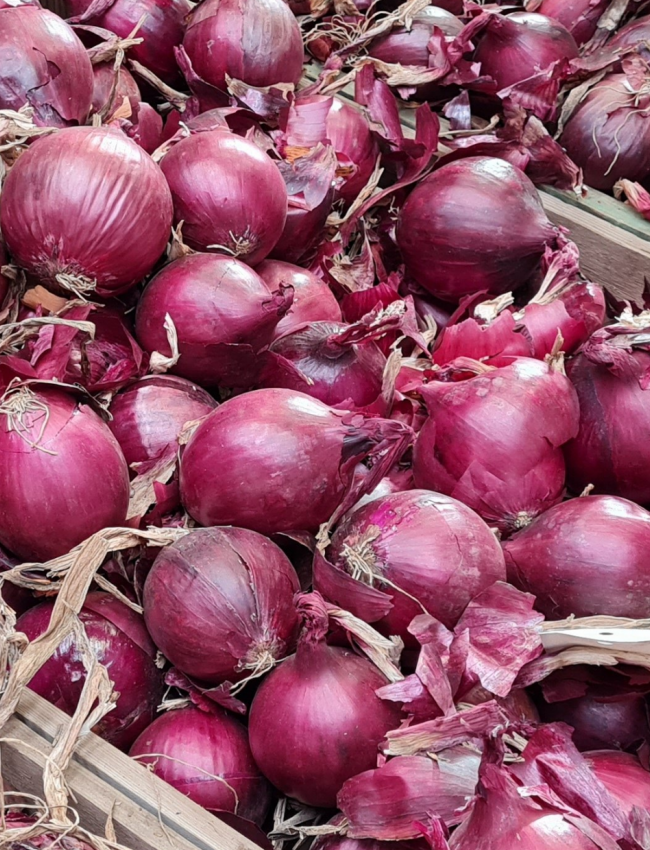 Red Onion