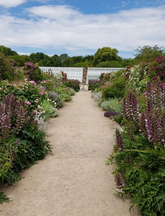 IOW 2019 129