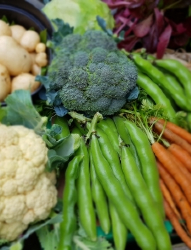 vegss