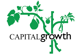 Capital Growth