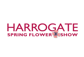 Harrogate