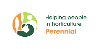 Perennial