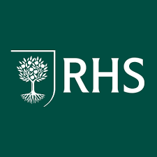 RHS 3