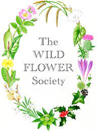 The Wildflower Society