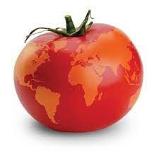 World Tomato Society
