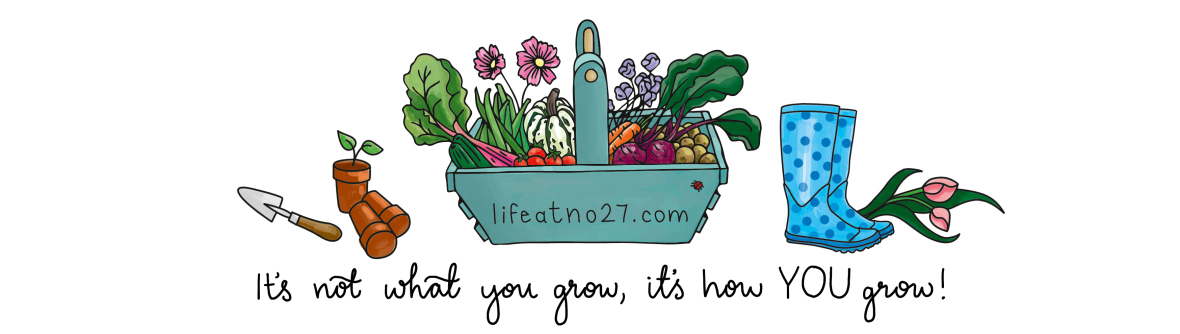 life at no 27 header slogan