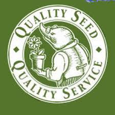 9b Moles Seeds