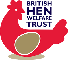BHWT