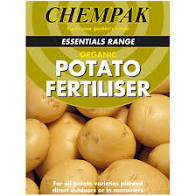 Chempak Potato