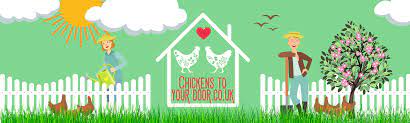 Chickens to your door