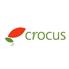 Crocus11