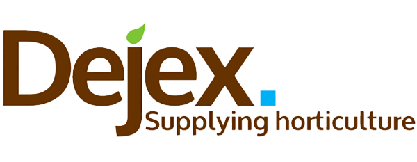 Dejex