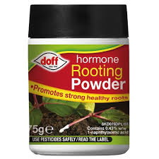 Doff Rooting Powder