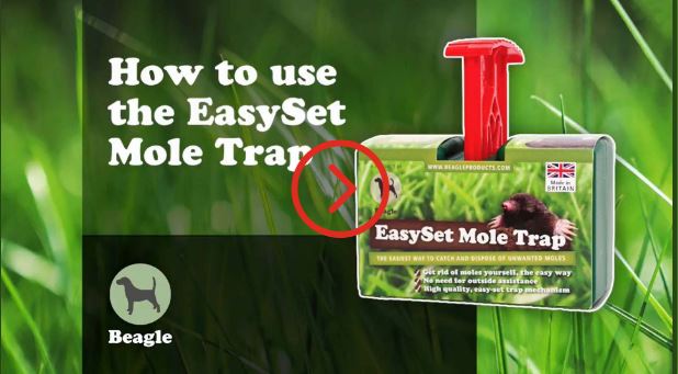 Easy set Mole Trap