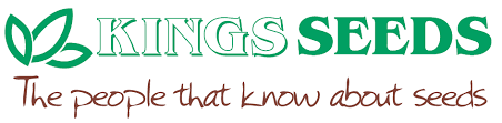 Kings Seeds