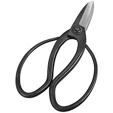 Nutscene Scissors