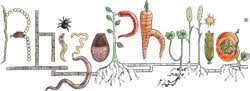 Rhizophyllia