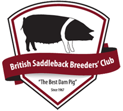 Saddleback