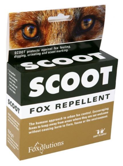 Scoot