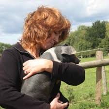 Tedfold