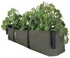 The Green Block