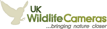 UK Wildlife