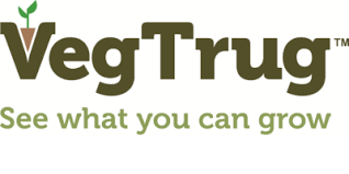 Vegtrug