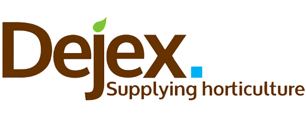 logo 13