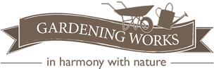 logo 9