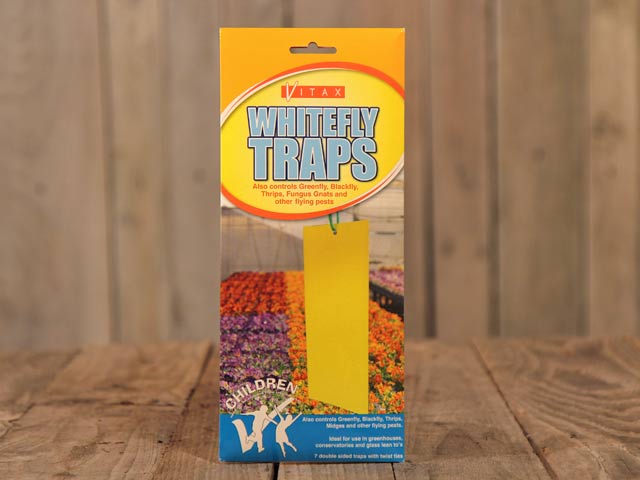whitefly traps