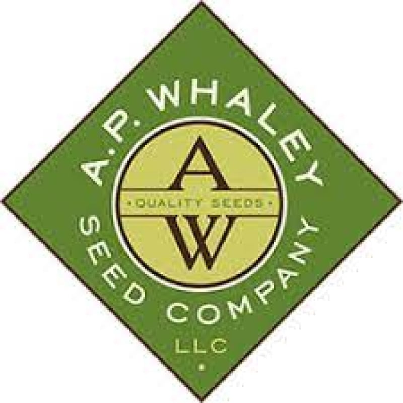 AP Whaley