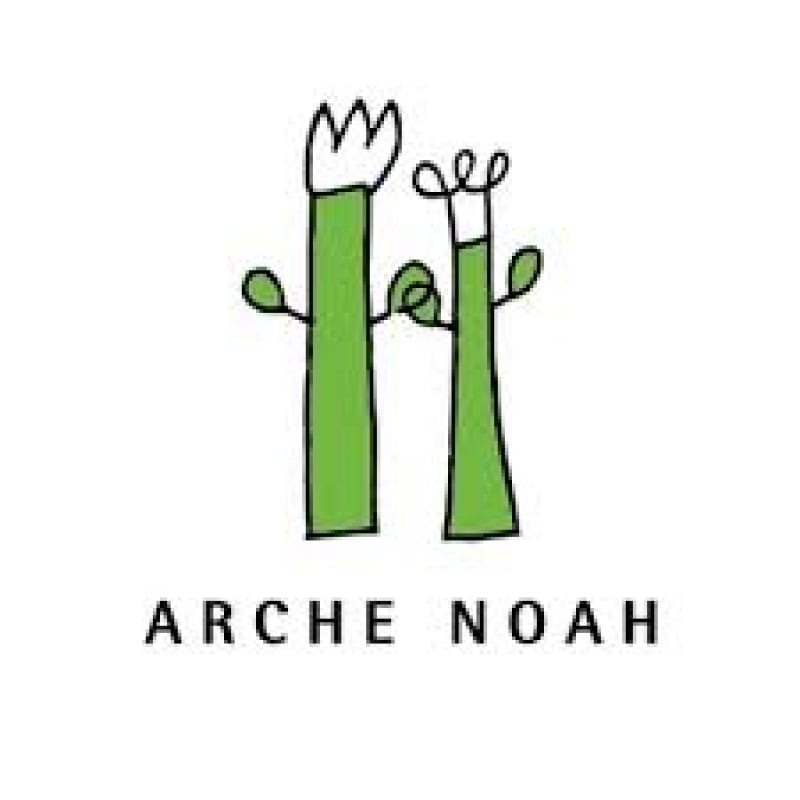 Arche Noah