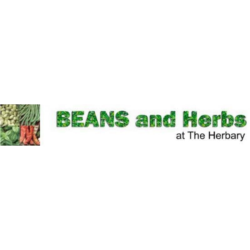 Beans and Herbs