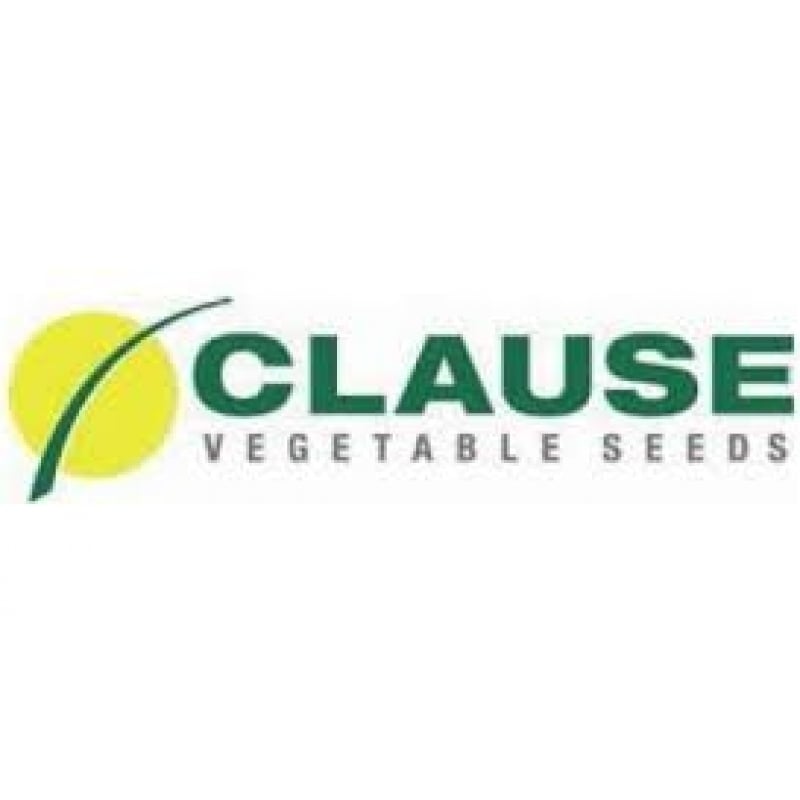Clause 2