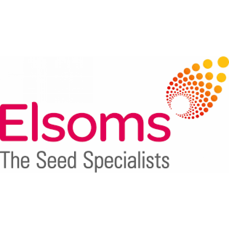 Elsoms