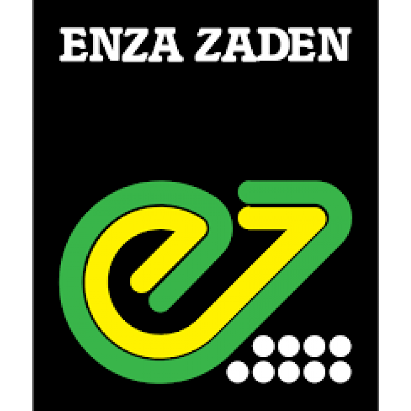 Enza Zaden