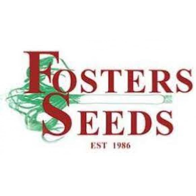 Fosters Seeds